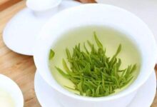 白马毛尖是什么茶，白马毛尖怎么冲泡？-茗扬网