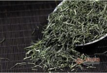 白马毛尖怎么泡好喝？喝白马毛尖的注意事项-茗扬网