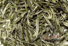 白马毛尖怎么泡好喝？白马毛尖的泡法-茗扬网