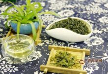 白马毛尖冲泡次数：一般2-3次-茗扬网