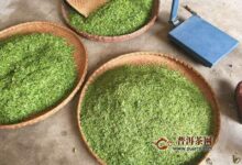 白马毛尖怎么泡好喝？喝白马毛尖的好处-茗扬网