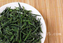 茶叶双桥毛尖的作用与禁忌-茗扬网