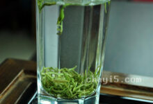 双桥毛尖的冲泡方法，7步泡出好喝的双桥毛尖-茗扬网