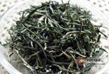 双桥毛尖是什么茶-茗扬网