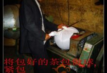 双桥毛尖的加工制作技术-茗扬网