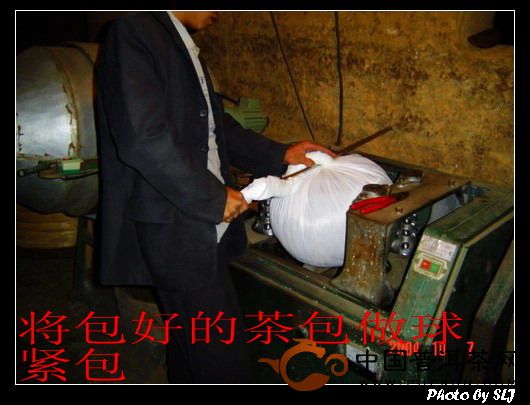 双桥毛尖的加工制作技术