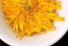 双桥毛尖（你喝过湖北双桥毛尖吗？）-茗扬网