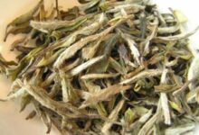 喝云海白毫茶对身体有什么好处-茗扬网