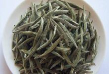 云海白毫的功效与禁忌事项-茗扬网