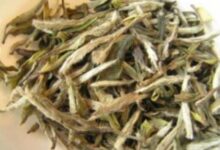 云海白毫的功效与作用及禁忌-茗扬网