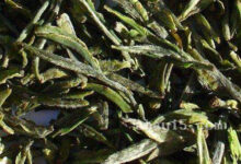 茶叶云海白毫的作用与禁忌-茗扬网