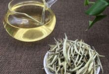 长饮云海白毫的功效及作用-茗扬网