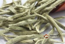 云海白毫的储存方法-茗扬网