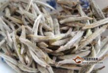 云海白毫是什么茶-茗扬网