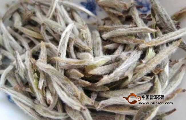 云海白毫是什么茶