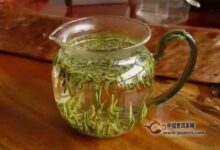 云海白毫的冲泡技巧-茗扬网