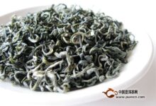隆中茶是什么茶-茗扬网