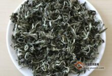 隆中茶的泡法-茗扬网