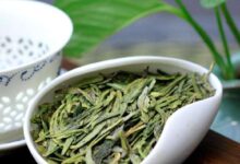 宝顶绿茶的功效与禁忌事项-茗扬网