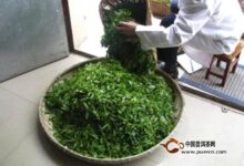 宝顶绿茶制作工序-茗扬网