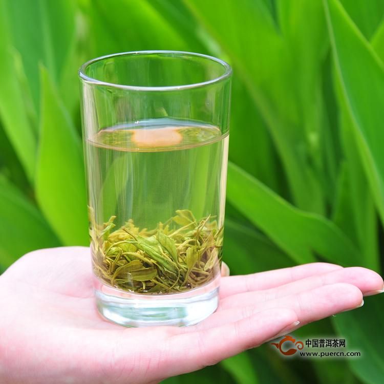 东湖银毫冲泡方法