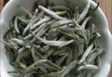 喝黄竹白毫茶对身体有什么好处-茗扬网