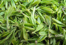 茶叶黄竹白毫的作用与禁忌-茗扬网