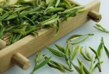 黄竹白毫是什么茶，黄竹白毫怎么冲泡？-茗扬网