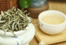 黄竹白毫怎么挑选 黄竹白毫的辨别方法-茗扬网