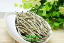 黄竹白毫的功效与作用及禁忌-茗扬网