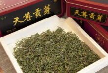 喝天尊贡芽茶有什么好处，盘点天尊贡芽茶的八大功效-茗扬网