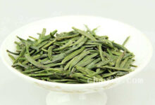 天尊贡芽的功效与作用 天尊贡芽的泡法-茗扬网