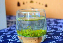 天尊贡芽品质特征-茗扬网