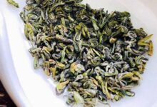 休宁松萝茶是什么茶-茗扬网