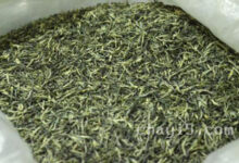 茶叶秦巴雾毫的作用与禁忌-茗扬网