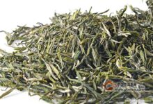 秦巴雾毫的功效-茗扬网