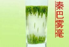 秦巴雾毫的冲泡方法-茗扬网