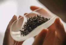 化佛茶的功效与禁忌事项-茗扬网