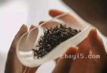 化佛茶的功效与作用 化佛茶的泡法-茗扬网