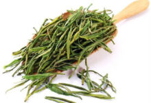 茶叶日铸雪芽的作用与禁忌-茗扬网