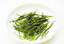 日铸雪芽的功效与作用 日铸雪芽的泡法-茗扬网