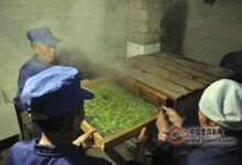 日铸雪芽的烘干过程-茗扬网