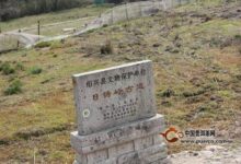 日铸雪芽产地环境-茗扬网