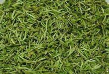 喝遵义毛峰茶有什么好处，盘点遵义毛峰茶的八大功效-茗扬网