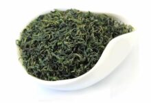 遵义毛峰的功效与禁忌事项-茗扬网