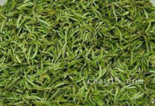 遵义毛峰的功效与作用 遵义毛峰的泡法-茗扬网