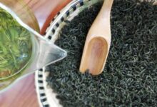 遵义毛峰怎么泡 遵义毛峰的泡法-茗扬网