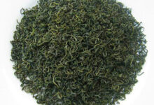 遵义毛峰的功效与作用 喝遵义毛峰的好处-茗扬网