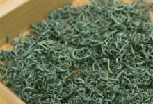 普洱茶和遵义毛峰的区别-茗扬网