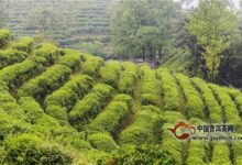 曾侯银剑的产地及特点-茗扬网